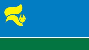 Флаг города Лангепас